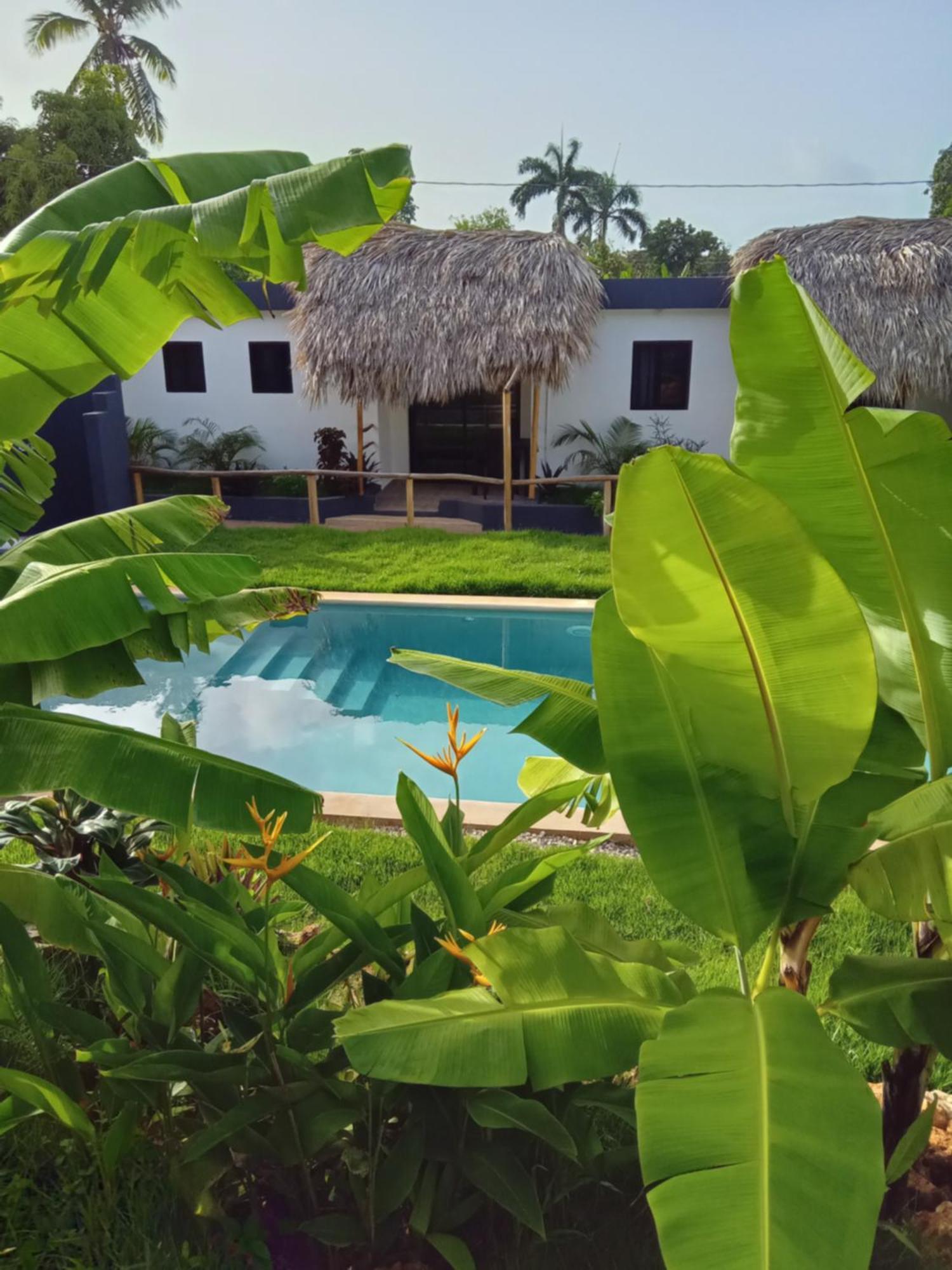 Bungalows Colibri Las Galeras Exteriör bild