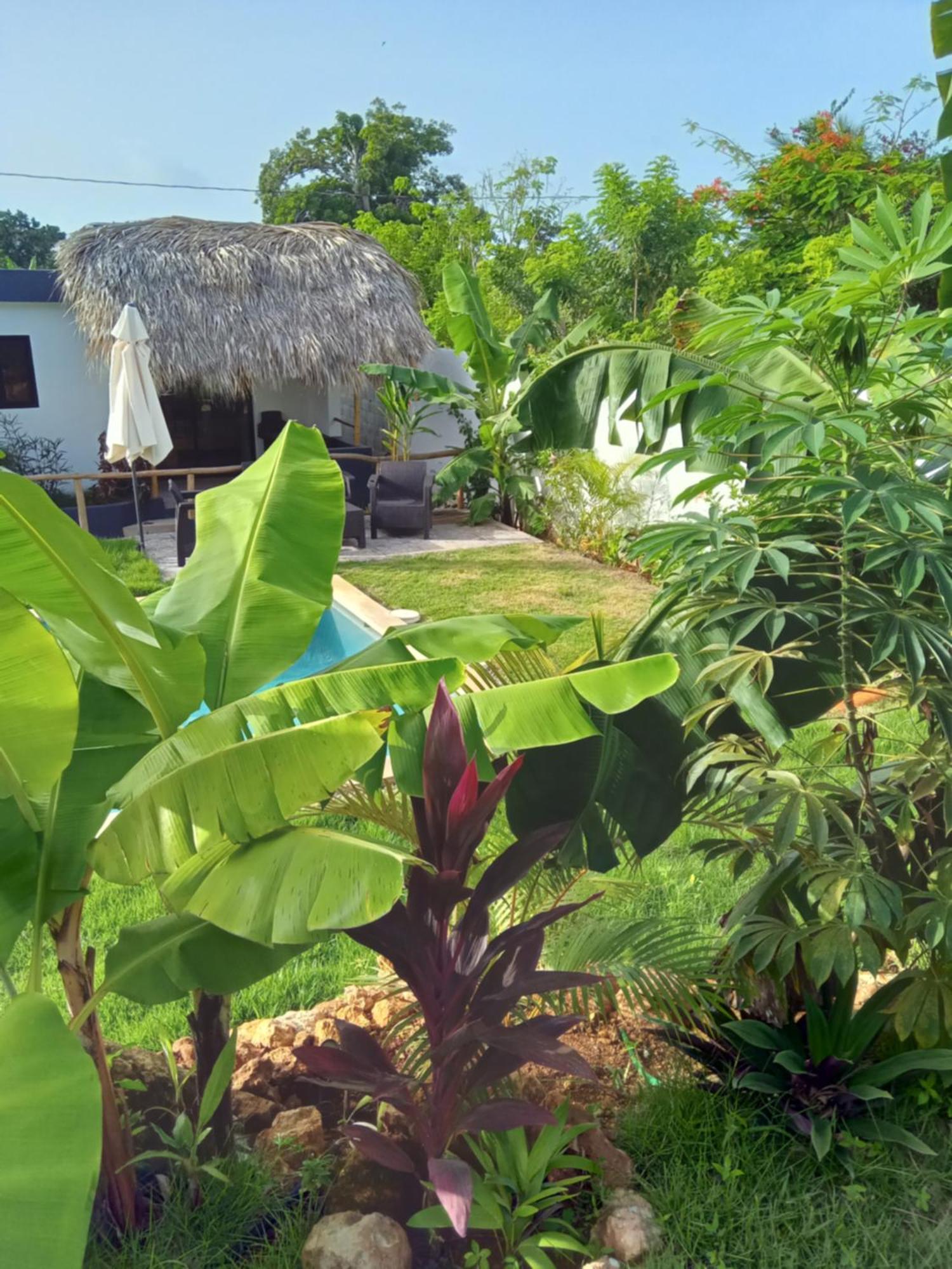 Bungalows Colibri Las Galeras Exteriör bild
