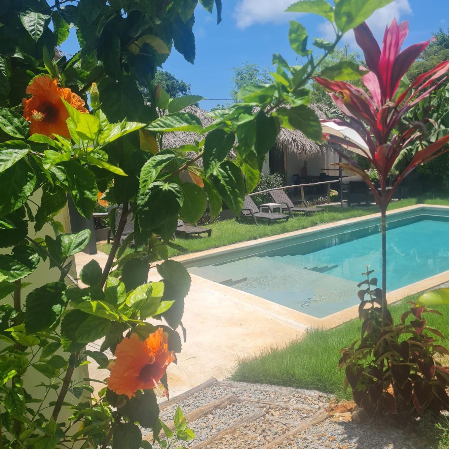 Bungalows Colibri Las Galeras Exteriör bild