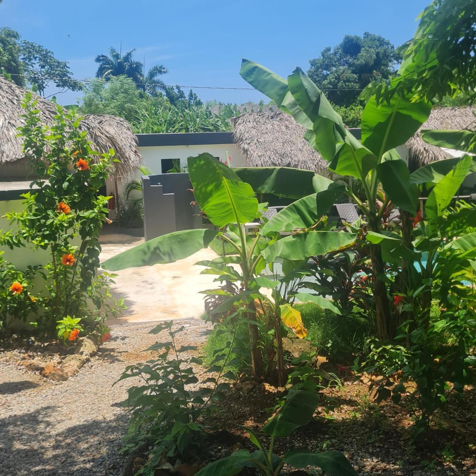 Bungalows Colibri Las Galeras Exteriör bild
